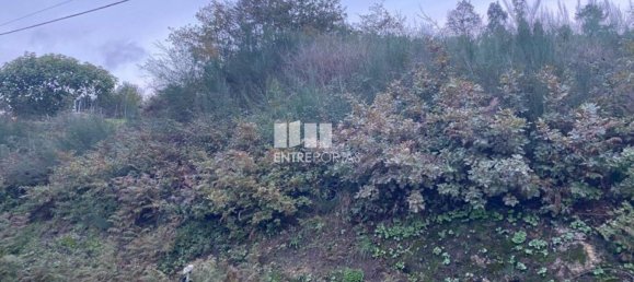 802m² Land in Baiao, Portugal No. 56289 22