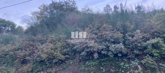 802m² Land in Baiao, Portugal No. 56289 27