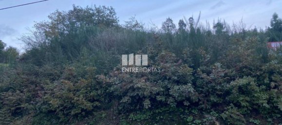 802m² Land in Baiao, Portugal No. 56289 5