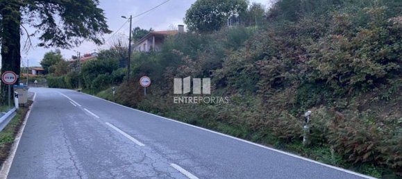 802m² Land in Baiao, Portugal No. 56289 13