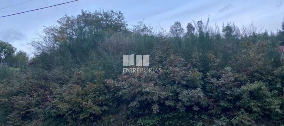 802m² Land in Baiao, Portugal No. 56289 2