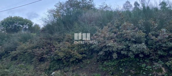 802m² Land in Baiao, Portugal No. 56289 25