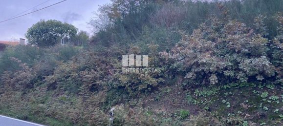 802m² Land in Baiao, Portugal No. 56289 7