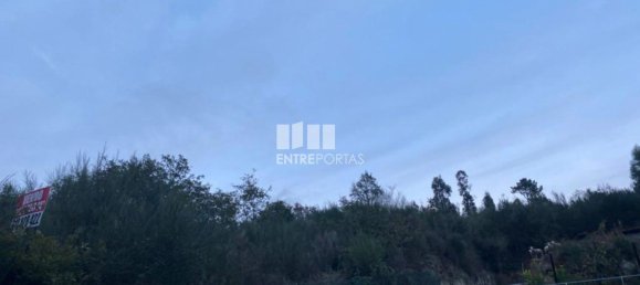 802m² Land in Baiao, Portugal No. 56289 4