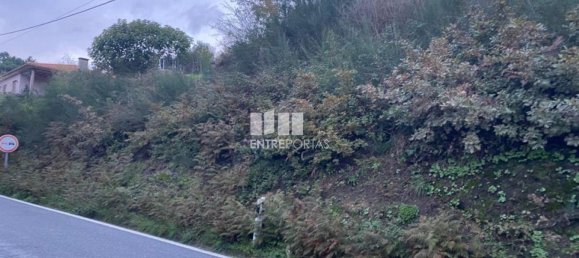 802m² Land in Baiao, Portugal No. 56289 15