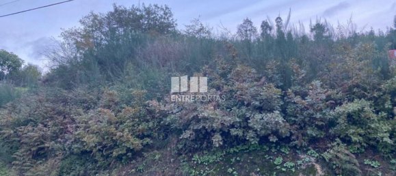 802m² Land in Baiao, Portugal No. 56289 10