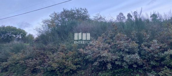 802m² Land in Baiao, Portugal No. 56289 6