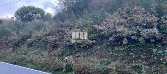 802m² Land in Baiao, Portugal No. 56289 18