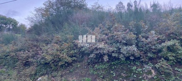 802m² Land in Baiao, Portugal No. 56289 14