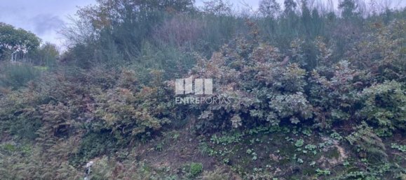 802m² Land in Baiao, Portugal No. 56289 20