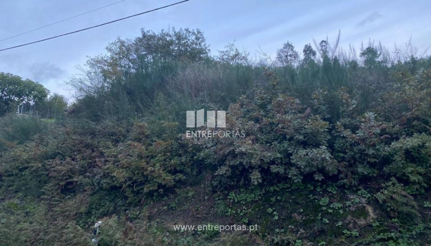 802m² Land in Baiao, Portugal No. 56289