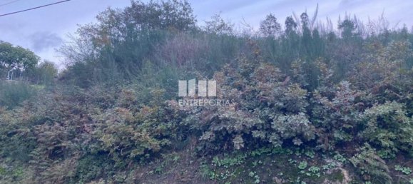 802m² Land in Baiao, Portugal No. 56289 21