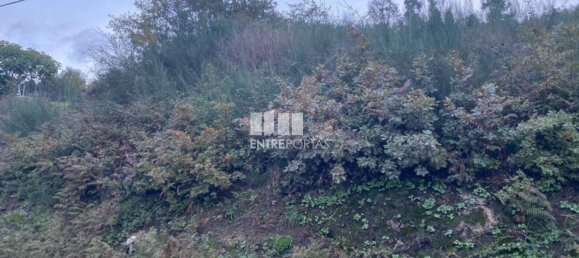 802m² Land in Baiao, Portugal No. 56289 9