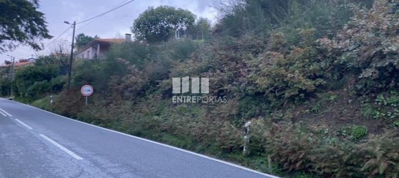 802m² Land in Baiao, Portugal No. 56289 12