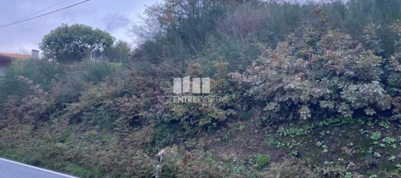 802m² Land in Baiao, Portugal No. 56289 23