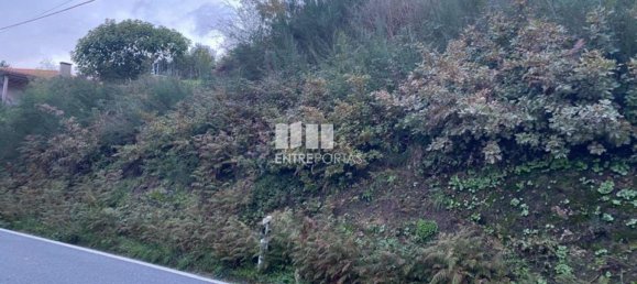 802m² Land in Baiao, Portugal No. 56289 11