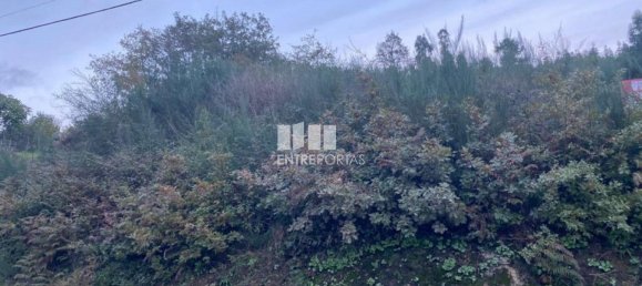 802m² Land in Baiao, Portugal No. 56289 8