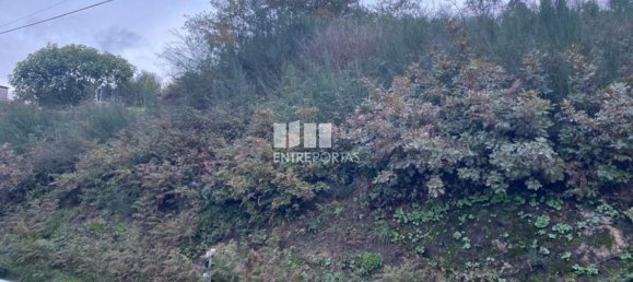 802m² Land in Baiao, Portugal No. 56289 3