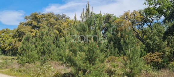 315m² Land in Palmela, Portugal No. 92151 5