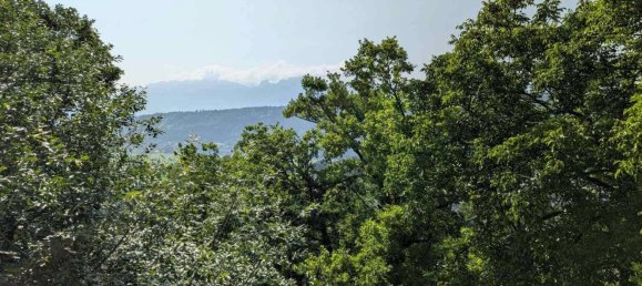  Land in Feldkirch, Austria No. 192998 5