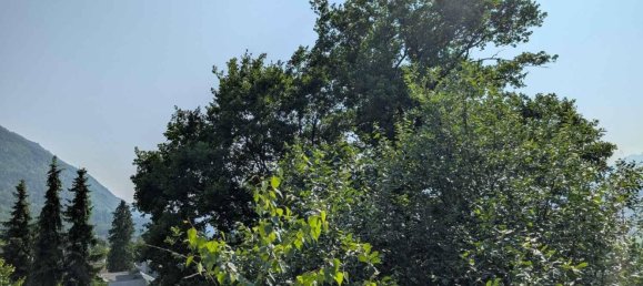  Land in Feldkirch, Austria No. 192998 6