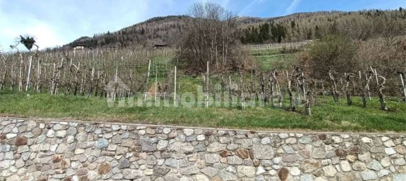 Terrain à Terzolas, Italy 850m² No. 85570 2