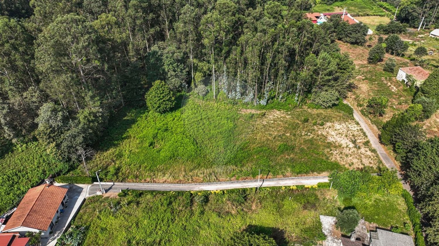 Terrain à Freiriz, Portugal No. 306464