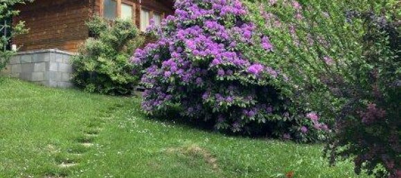 استوديو في Lockenhaus, Austria رقم 234216 18