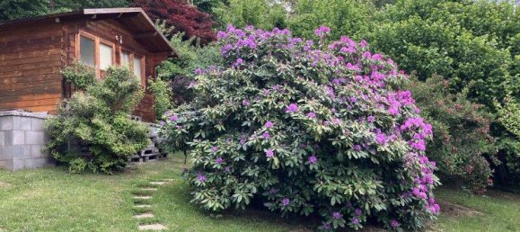 استوديو في Lockenhaus, Austria رقم 234216 17