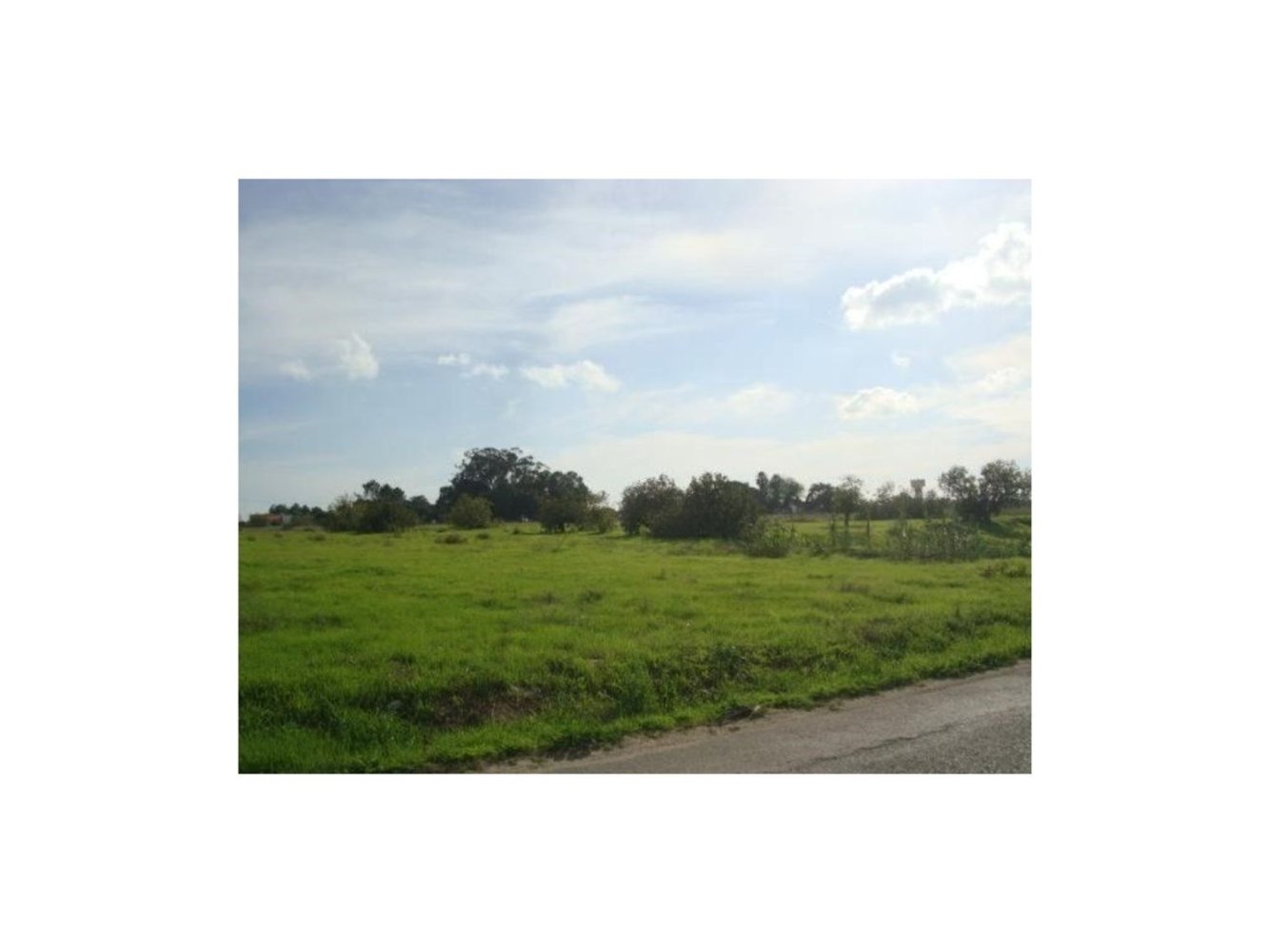 59880m² Land in Montijo, Portugal No. 43570