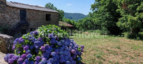 15 chambres Maison à Greve in Chianti, Italy No. 122189 2
