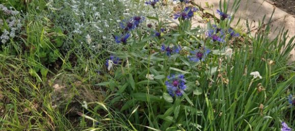  قطعة أرض في Erfurt, Germany رقم 271457 16