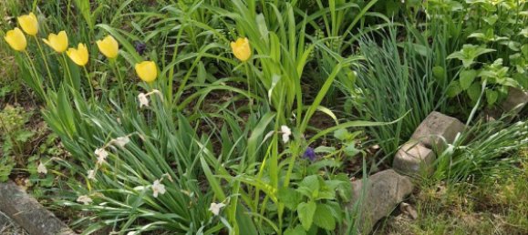  قطعة أرض في Erfurt, Germany رقم 271457 15