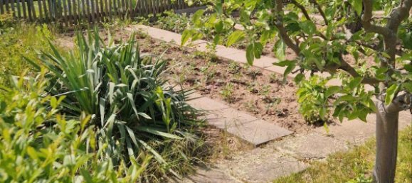  قطعة أرض في Erfurt, Germany رقم 271457 2