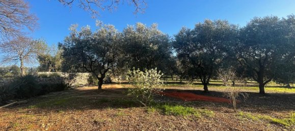 Terreno em Monopoli, Italy 10000 m² N.º 100533 4