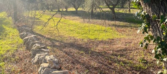 Terreno em Monopoli, Italy 10000 m² N.º 100533 13