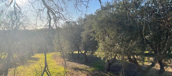 Terreno em Monopoli, Italy 10000 m² N.º 100533 12