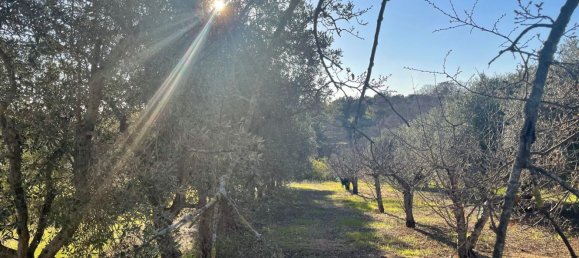 Terreno em Monopoli, Italy 10000 m² N.º 100533 15