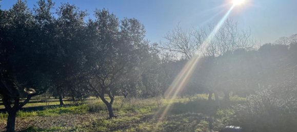 Terreno em Monopoli, Italy 10000 m² N.º 100533 5