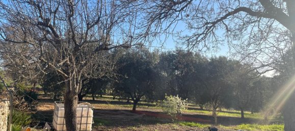 Terreno em Monopoli, Italy 10000 m² N.º 100533 8