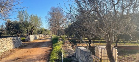 Terreno em Monopoli, Italy 10000 m² N.º 100533 10