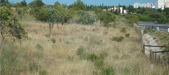 Grundstück in Loule, Portugal 112620m², Nr. 43896 11