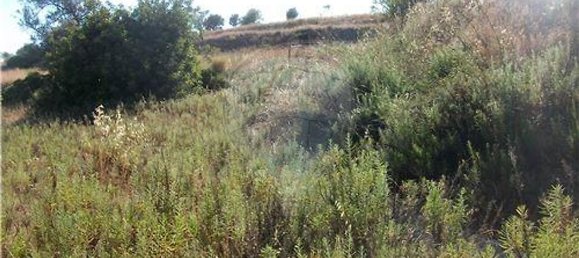 Grundstück in Loule, Portugal 112620m², Nr. 43896 4