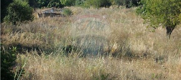 Grundstück in Loule, Portugal 112620m², Nr. 43896 10