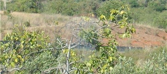 Grundstück in Loule, Portugal 112620m², Nr. 43896 6