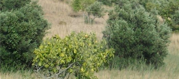 Grundstück in Loule, Portugal 112620m², Nr. 43896 7