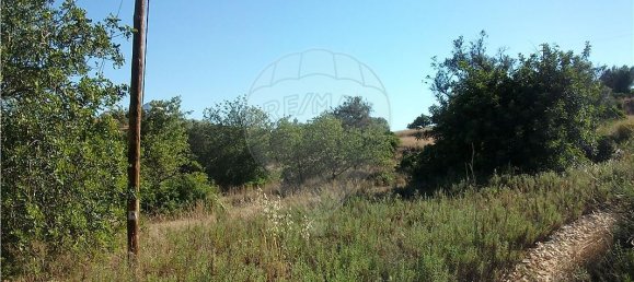 Grundstück in Loule, Portugal 112620m², Nr. 43896 5