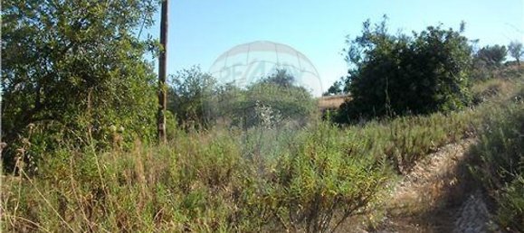 Grundstück in Loule, Portugal 112620m², Nr. 43896 2