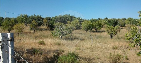 Grundstück in Loule, Portugal 112620m², Nr. 43896 8