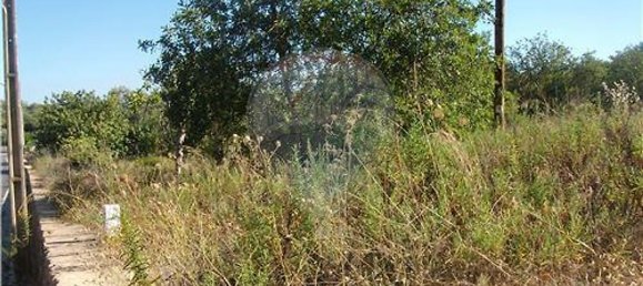 Grundstück in Loule, Portugal 112620m², Nr. 43896 3